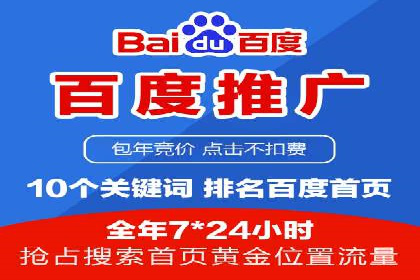 推广竞价策略解析：成功案例分享